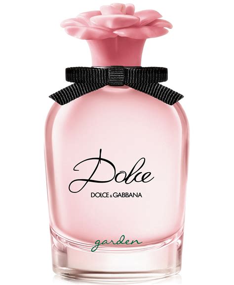 dolce gabbana in|dolce gabbana women.